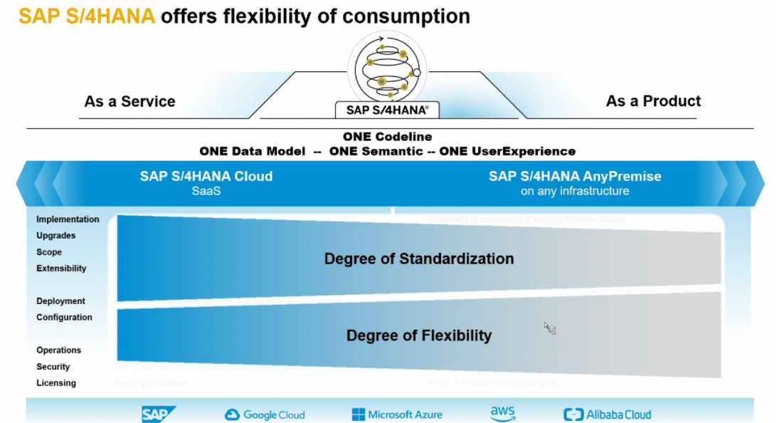 Image of standardization and flexibility approaches in S/4HANA